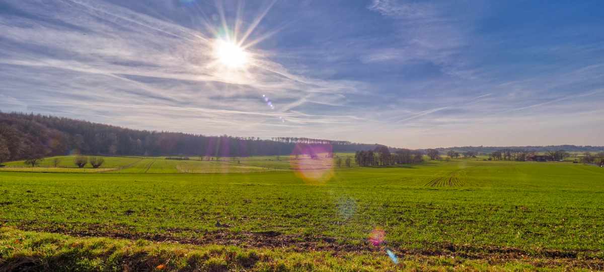 Düdinghausen im Naturpark Steinhuder Meer Blick von Düdinghausen nach Wölpinghausen