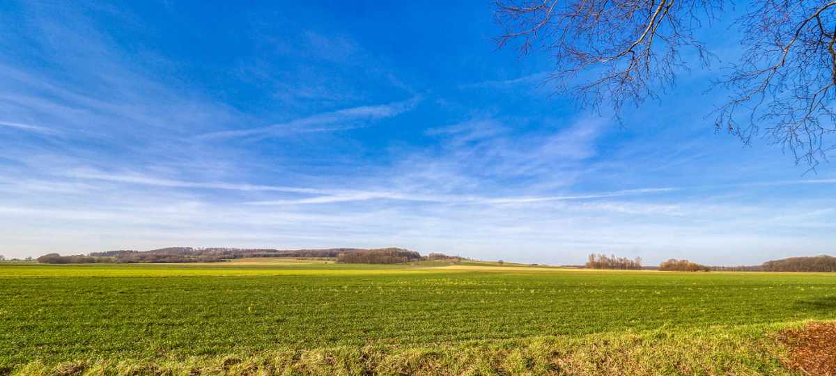 Von Auhagen nach Düdinghausen im Naturpark Steinhuder Meer
